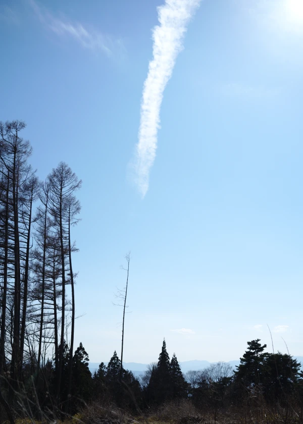 空へ伸びる飛行機雲