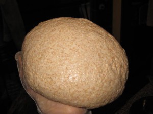 北米産有機全粒粉強力の生地 北米産有機全粒粉強力の生地
