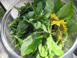 いそじ食・野草 いそじ食・野草