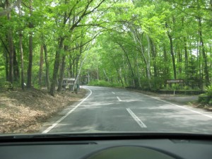 いそちゃん軽井沢の林道を走る