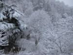 IMG_6465