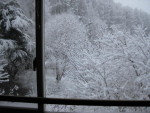 IMG_6466