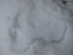 IMG_6473