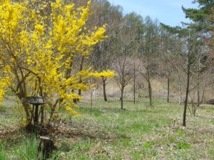 IMGP0456