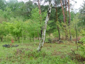 IMGP0492