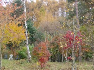 imgp0921