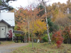 imgp0923