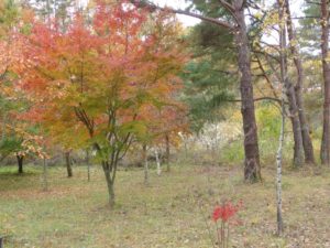 imgp0924