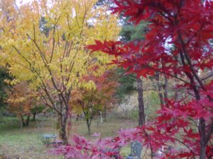 imgp0927